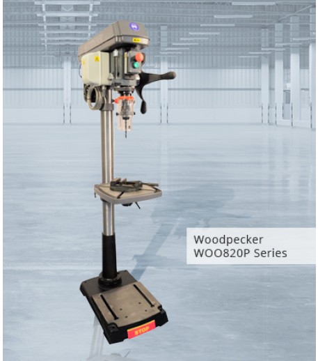 FLA-Woodpecker Drills