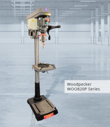 FLA-Woodpecker Drills